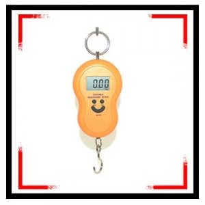 Portable Electronic Scale