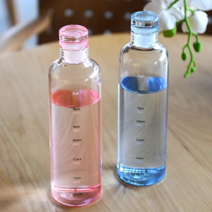Transparent Water Bottle Stay Refreshed Sleek -500Ml