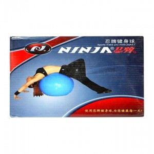 Ninja Gym Ball - Blue