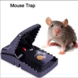 Mouse trap clip